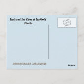 アザラシとアシカ ポストカード (裏面)