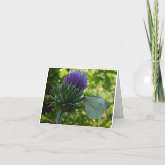 アザラシとモスノートカード カード (正面)