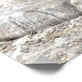 アザラシと鳥 ポスター (角)