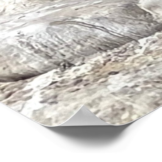 アザラシと鳥 ポスター (角)