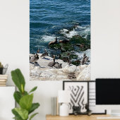 アザラシと鳥 ポスター (ホームオフィス)