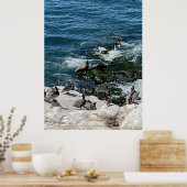 アザラシと鳥 ポスター (キッチン)