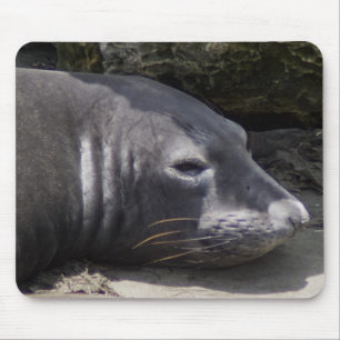 アザラシの口 マウスパッド