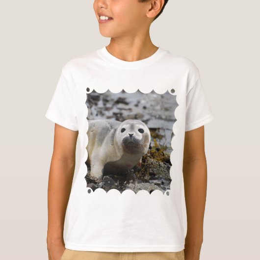 アザラシの子の青年Tシャツ Tシャツ (正面)