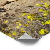 アザラシの山 ポスター (角)