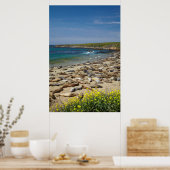 アザラシの山 ポスター (キッチン)