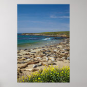 アザラシの山 ポスター (正面)