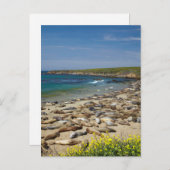 アザラシの山 ポストカード (正面/裏面)