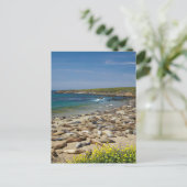 アザラシの山 ポストカード (スタンド正面)