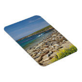 アザラシの山 マグネット (右側)