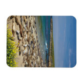 アザラシの山 マグネット (横)