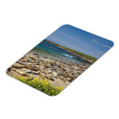 アザラシの山 マグネット (左側)