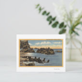 アザラシの岩とアザラシの景観 ポストカード (スタンド正面)