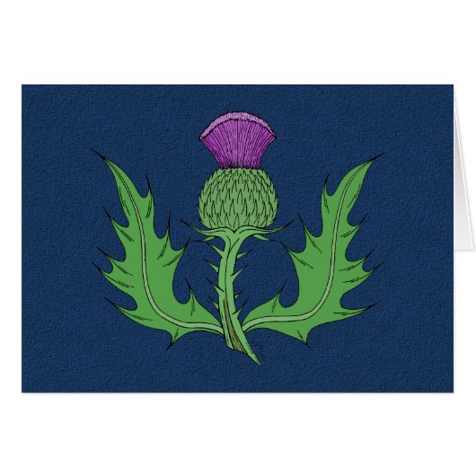 アザラシグリーティングカード (正面横)