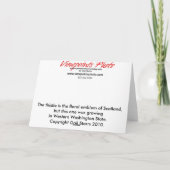 アザラシグリーティングカード カード (裏面)