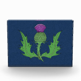 アザラシ写真ブロック フォトブロック