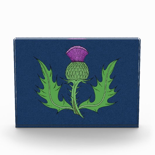 アザラシ写真ブロック フォトブロック (正面)