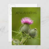 アザラシ花の新しいアドレスカード 案内ポストカード (正面/裏面)
