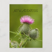 アザラシ花の新しいアドレスカード 案内ポストカード (正面)