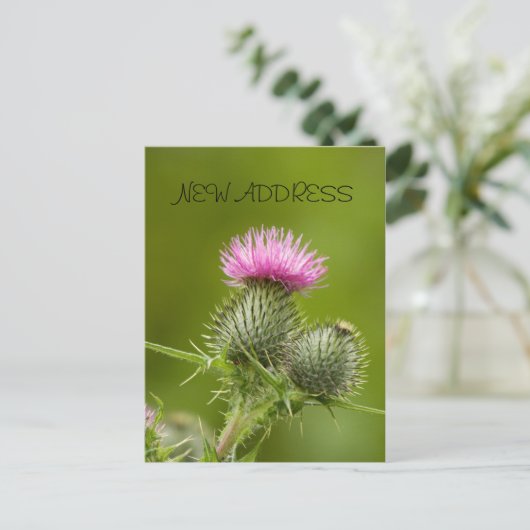 アザラシ花の新しいアドレスカード 案内ポストカード (スタンド正面)