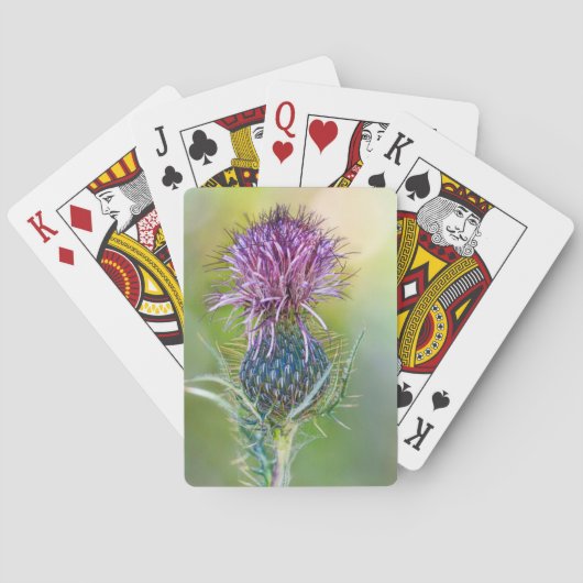 アザラシ花カード トランプ (裏面)