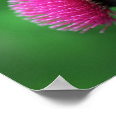 アザラシ花ポスター ポスター (角)