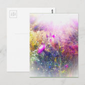 アザラシ葉書 ポストカード (正面/裏面)