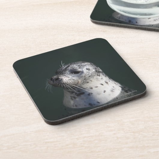 アザラシ コースター (左側)