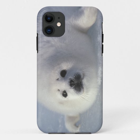 アザラシ(Phoca groenlandica)生後1週間のアザラシ Case-Mate iPhoneケース (裏面)