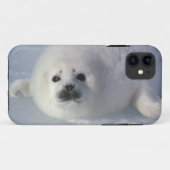 アザラシ(Phoca groenlandica)生後1週間のアザラシ Case-Mate iPhoneケース (裏面(横))