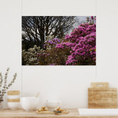 アザリアとマグノリア ポスター (キッチン)