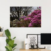 アザリアとマグノリア ポスター (ホームオフィス)