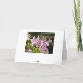 アザレアの午後 - グリーティングカード (裏面)