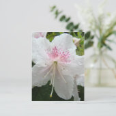 アザレアの花 白い濡れたアザレア カード ギフト マグ (スタンド正面)