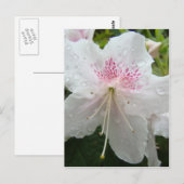 アザレアの花 白い濡れたアザレア カード ギフト マグ (正面/裏面)