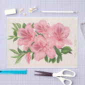 アザレアインディカ（ハイブリダ）ギガンティフローラバイレマイア 薄葉紙 (クラフト)