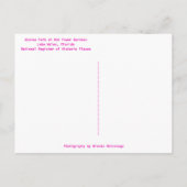 アザレアパスボックタワーガーデンズレイクウェールズ ポストカード (裏面)