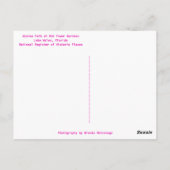 アザレアパスボックタワーガーデンズレイクウェールズ ポストカード (裏面)