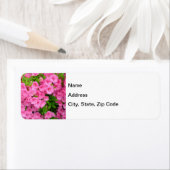 アザレアブッシュ ラベル (インサイチュ)