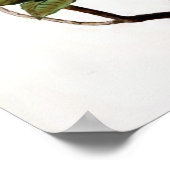 "アザレアポンティカ"ヴィンテージフラワーイラストレーション ポスター (角)