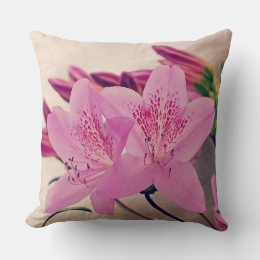 アザレア開花 クッション (正面)
