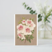 アザレア（インディカ）リーヌ・デ・ペイ・バスby Lemaire ポストカード (スタンド正面)