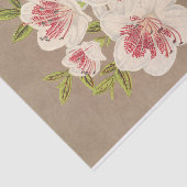 アザレア（インディカ）リーヌ・デ・ペイ・バスby Lemaire 薄葉紙 (詳細)