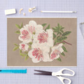 アザレア（インディカ）リーヌ・デ・ペイ・バスby Lemaire 薄葉紙 (クラフト)