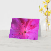 アザレア カード (黄色い花)