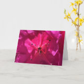 アザレア カード (黄色い花)