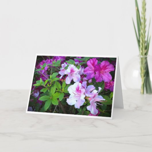 アザレア カード (正面)