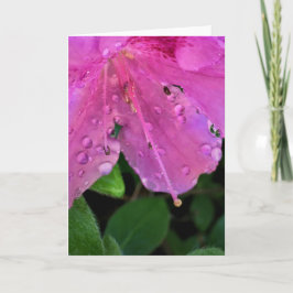 アザレア カード