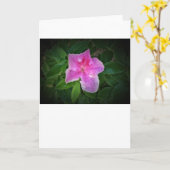 アザレア カード (黄色い花)
