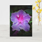 アザレア カード (黄色い花)